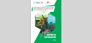 Fr_Rapport_de_Capitalisation_projet_GFB_ok