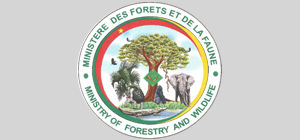 Décision N° 0010/D/MINFOF/CAB du 10 Janvier 2022 portant désignation des personnels au sein du Secrétariat Technique du Comité des Programmes du Fonds Spécial de Développement Forestier