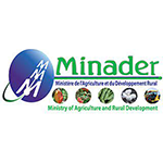 logo_MINADER